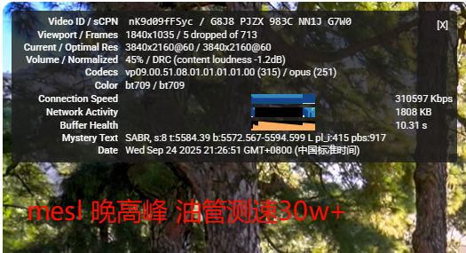 MESL 晚高峰油管测速 30w+