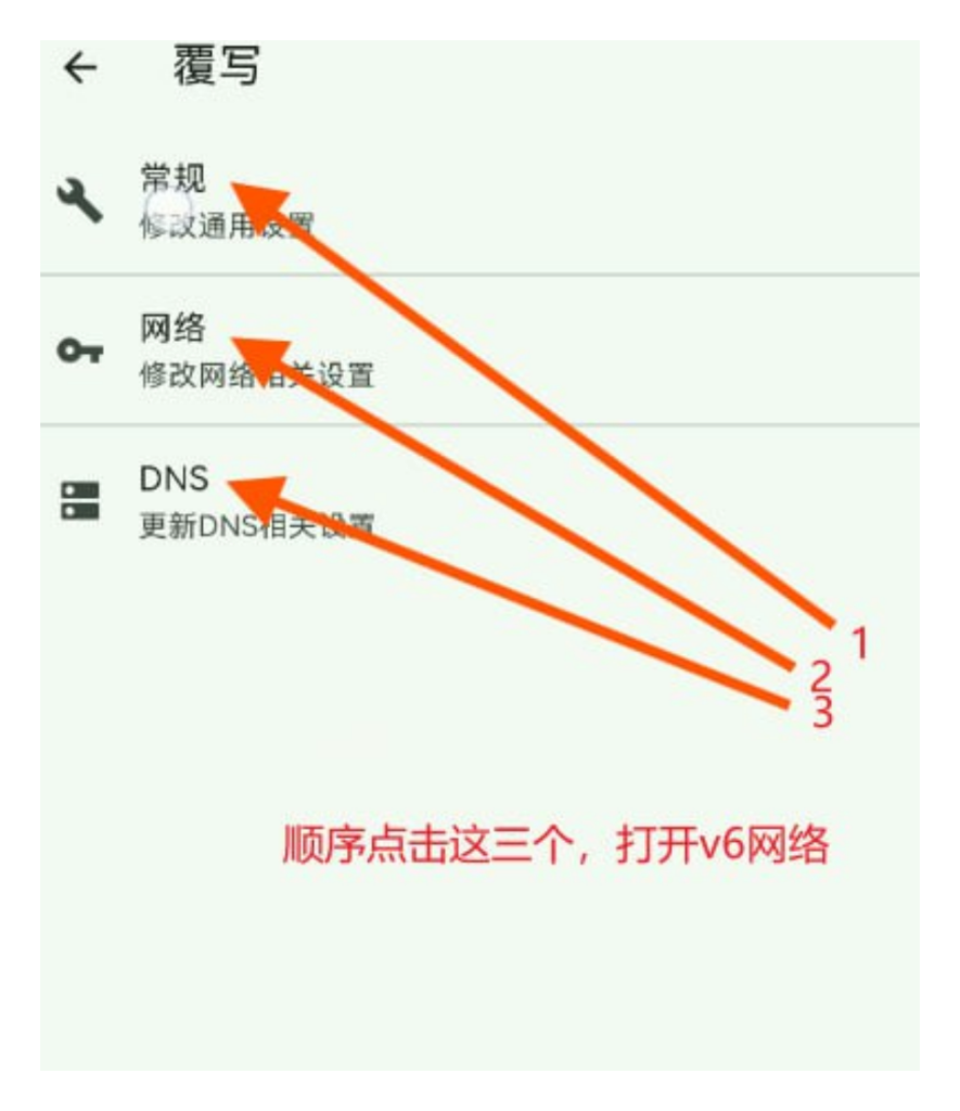 Flclash 设置菜单