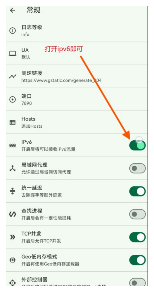 Flclash 内核开启 IPv6