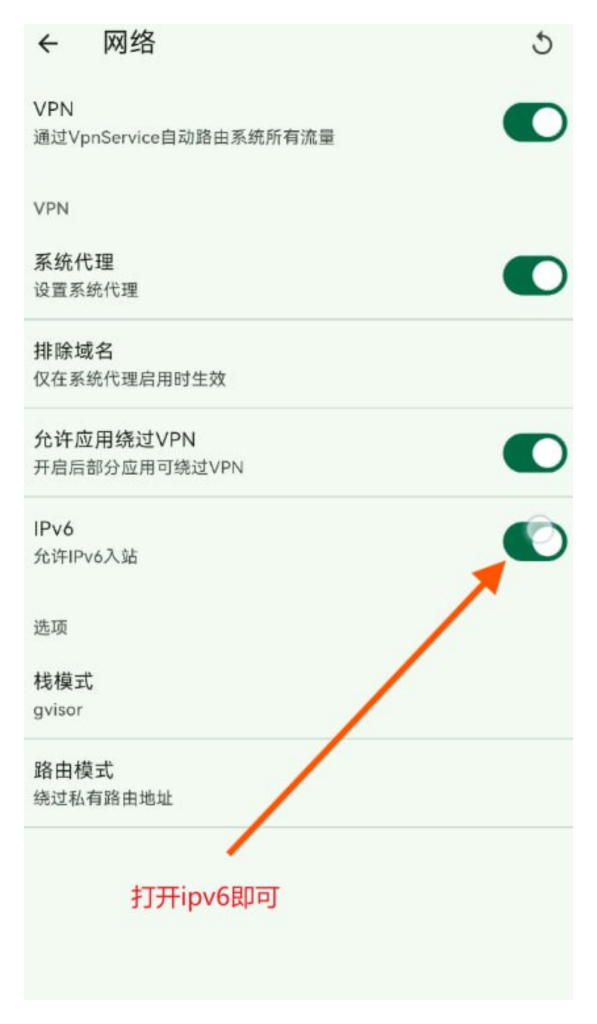 Flclash DNS 开启 IPv6