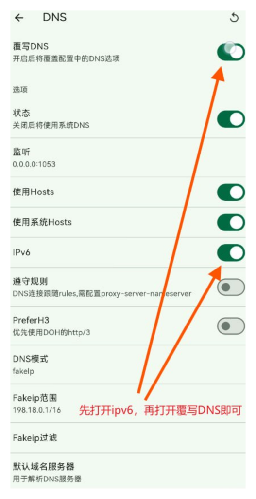 Flclash 覆写 DNS 设置