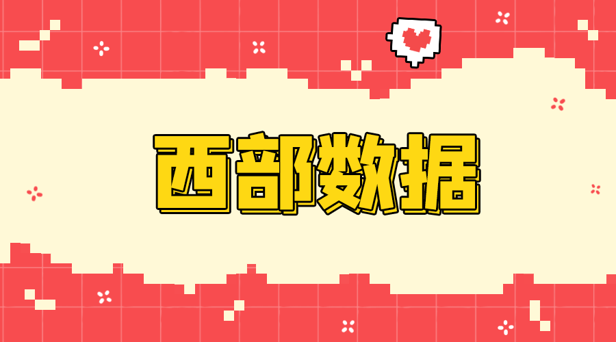 西部数据机场评测封面