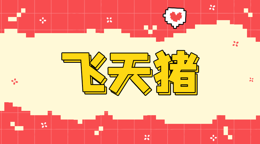 飞天猪机场评测封面