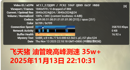 飞天猪 油管晚高峰测速 35w+